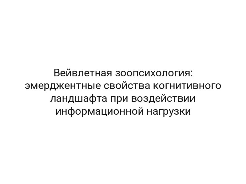 Вейвлетная зоопсихология: эмерджентные свойства когнитивного ландшафта при воздействии информационной нагрузки
